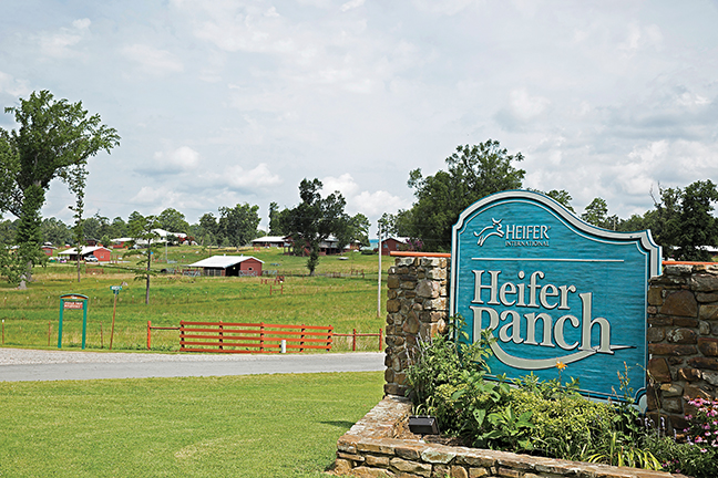 The Heifer Ranch covers 1,200 acres, 200 acres for educational purposes and 1,000 used in other ways that help the foundation. (photo courtesy Heifer Ranch)