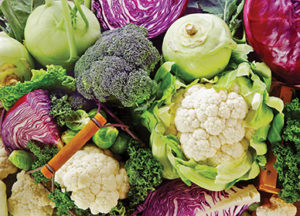 35619672 - background of healthy fresh cruciferous vegetables with brioccoli, cabbage, cauliflower, brussels sprouts kale and kohlrabi, close up full frame