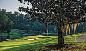 Known by avid golfers as one of the most beautiful and most challenging stops on the Trail, Cambrian Ridge in Greenville lies just 40 miles from Montgomery. It is well worth the ride for any golfer looking for 36 holes of jaw-dropping golf. The Sherling/Canyon combination was named by Golf Digest as the 3rd best new public course in America when it opened and 13th in their list of America's Top 50 Affordable Courses. This combination was also named by Golf Digest's "Places to Play" as one of the nation's 40 Super Value courses.